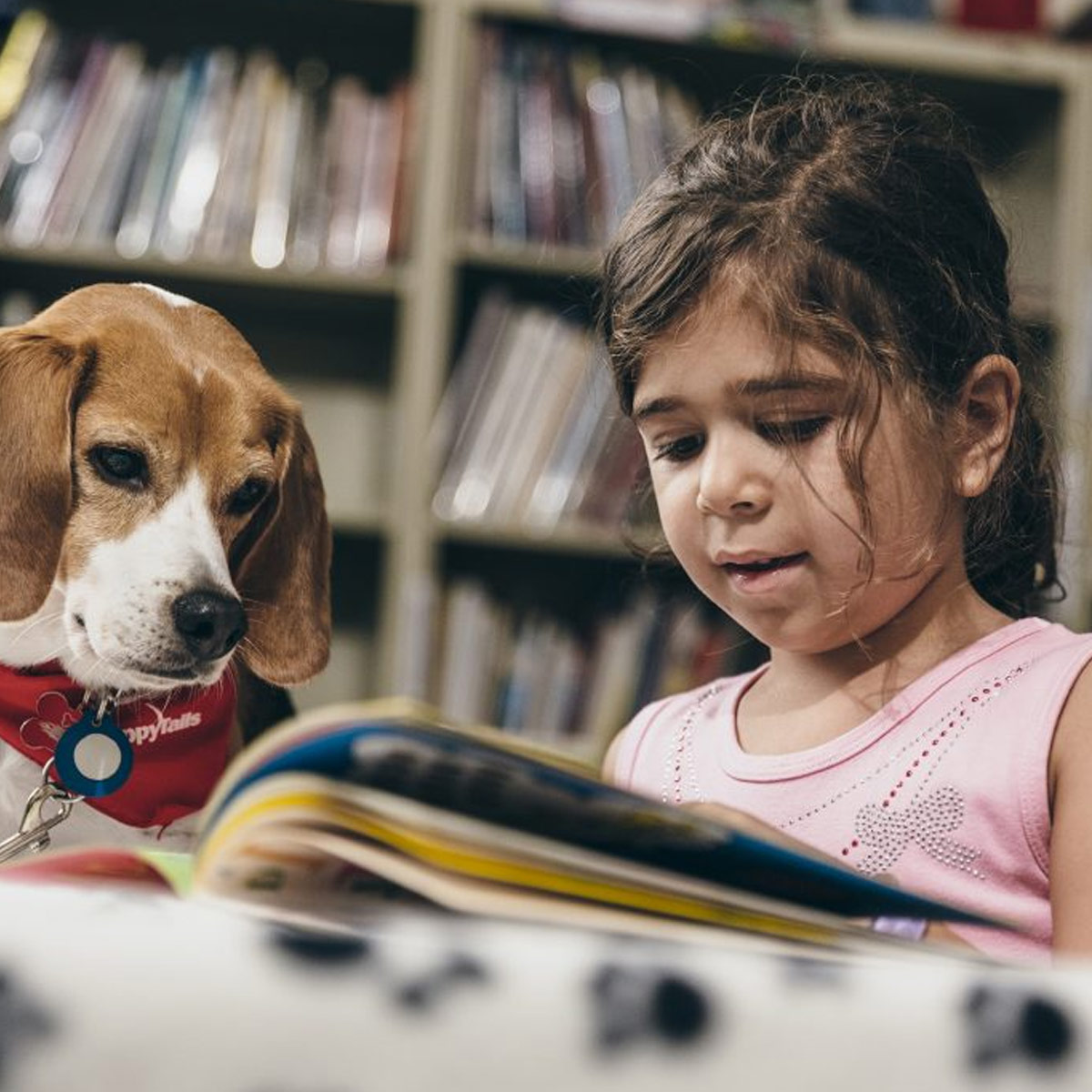 Tales to Tails Campbellsport Public Library