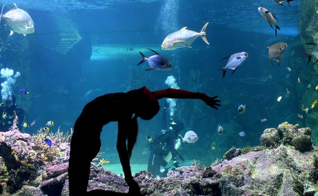 Under the Sea Yoga with Kim Keceli
